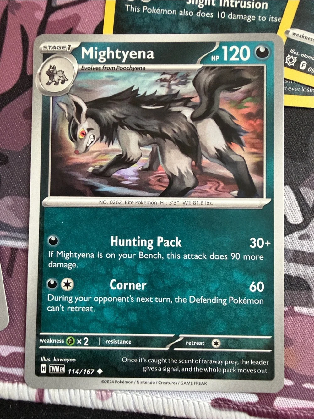 Poochyena & Mightyena Evolution Lot | Temporal Forces + Astral Radiance| ✨5/$25✨